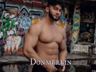 Donmerlin