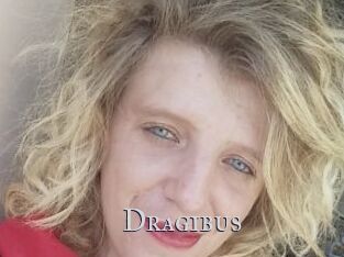 Dragibus