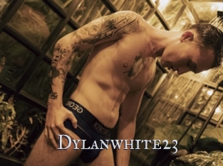 Dylanwhite23