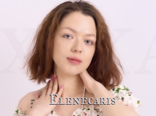 Elenecaris