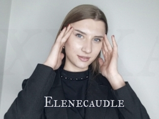 Elenecaudle