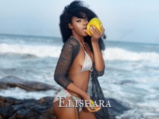 Elishara