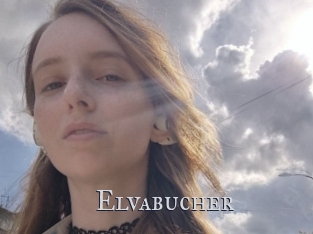 Elvabucher