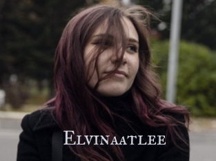 Elvinaatlee