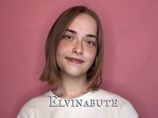 Elvinabute