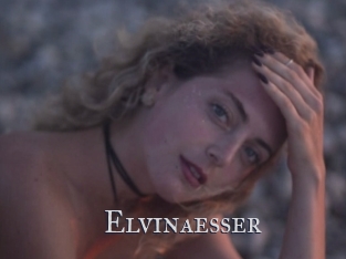 Elvinaesser