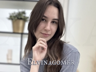 Elvinagomer