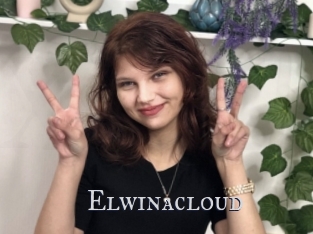 Elwinacloud