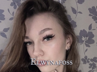 Elwynafoss