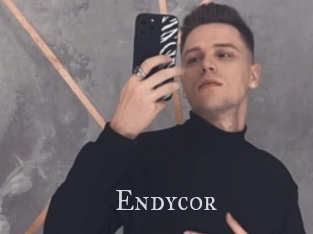 Endycor