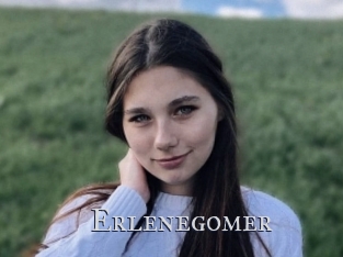 Erlenegomer