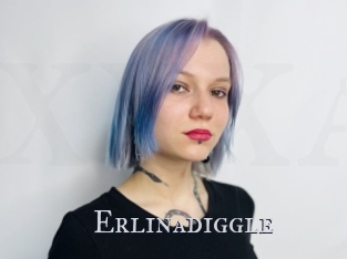 Erlinadiggle