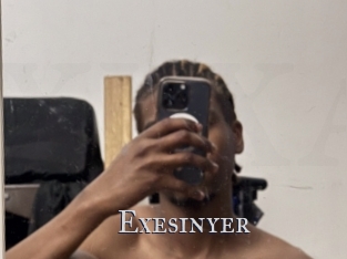 Exesinyer