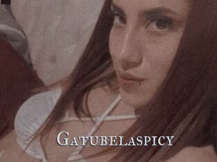 Gatubelaspicy