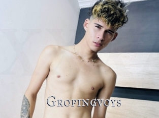 Gropingvoys