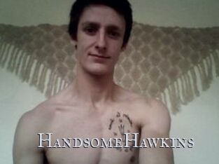 HandsomeHawkins