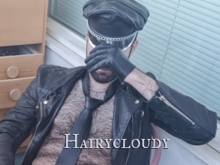 Hairycloudy