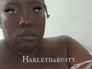 Harleydabusty