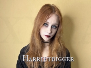 Harrietbigger