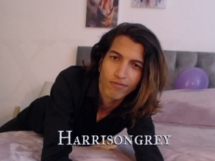 Harrisongrey