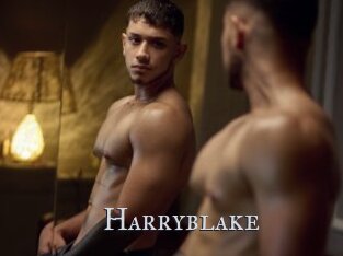 Harryblake