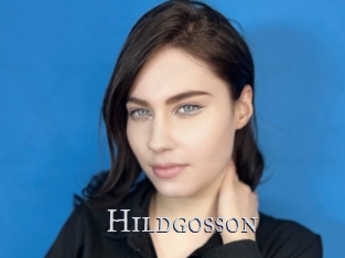 Hildgosson