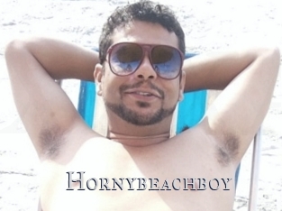 Hornybeachboy