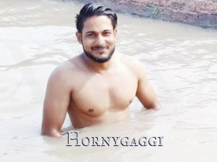 Hornygaggi