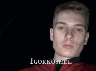 Igorkoshel