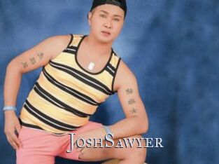 JoshSawyer