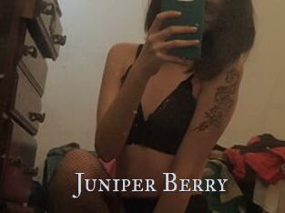 Juniper_Berry