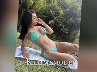 Karimemodel