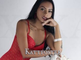 Kattfoster