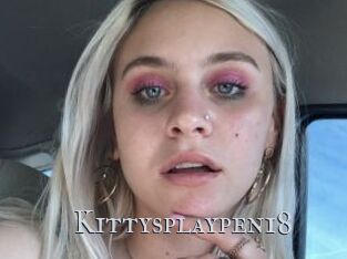 Kittysplaypen18