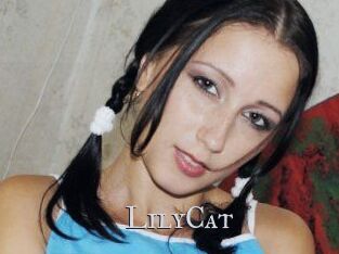 Lily_Cat_