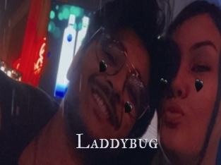 Laddybug