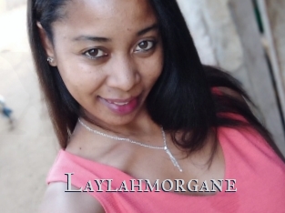 Laylahmorgane