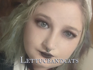 Lettuceandcats