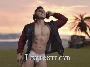 Leytonfloyd