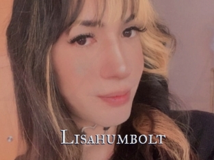 Lisahumbolt