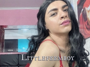 Littlefeemboy