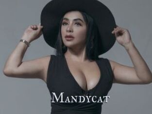 Mandycat