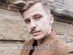 MeerkatMatt