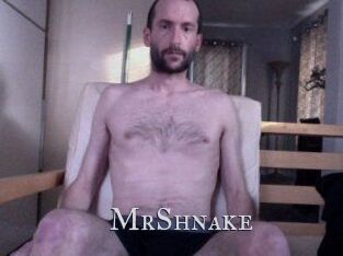 MrShnake