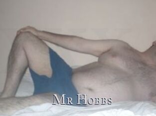 Mr_Hobbs