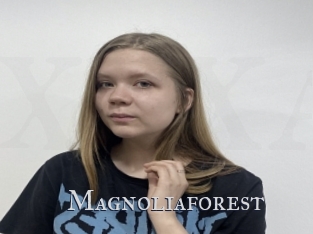 Magnoliaforest