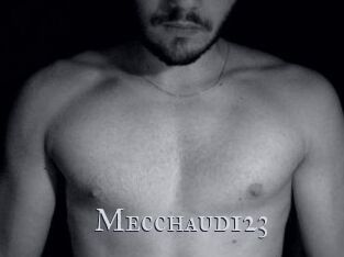 Mecchaud123