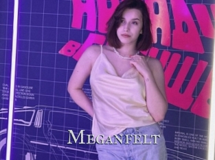 Meganfelt