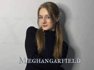 Meghangarfield