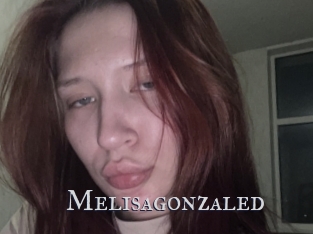 Melisagonzaled